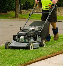 Lawn Care Services