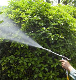 Garden Pest Control Services