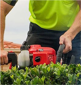 Cleanups and Garden Maintenance Services