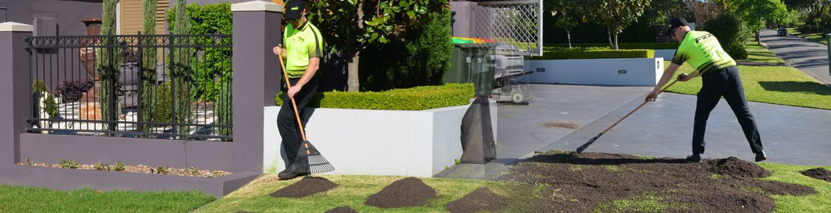 lawn-renovation-top-dressing