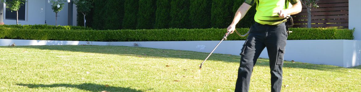 Lawn & Garden Weed Spraying