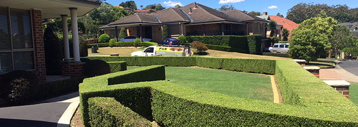 Consultation and Planning