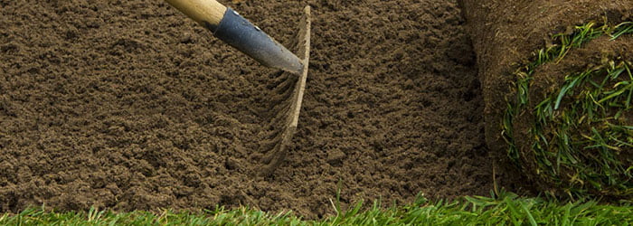 Garden Bed Preparation