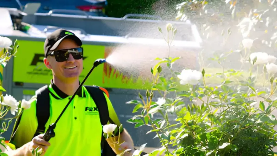 A Comprehensive Look at Lawn and Garden Bug Spraying Services for Homeowners