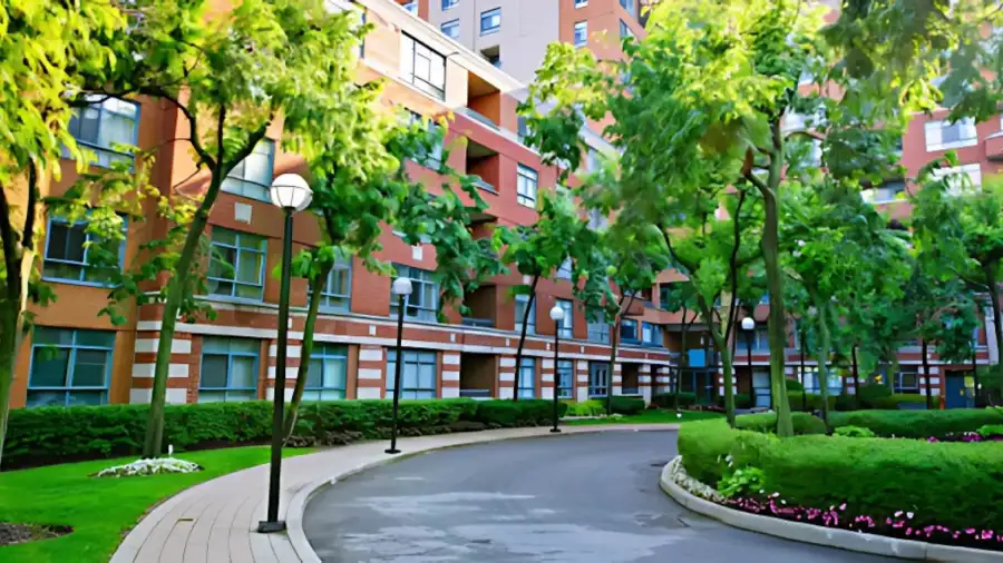 Strata and Commercial Garden Care for Real Estate Developments: Aligning Presentation with Property Value